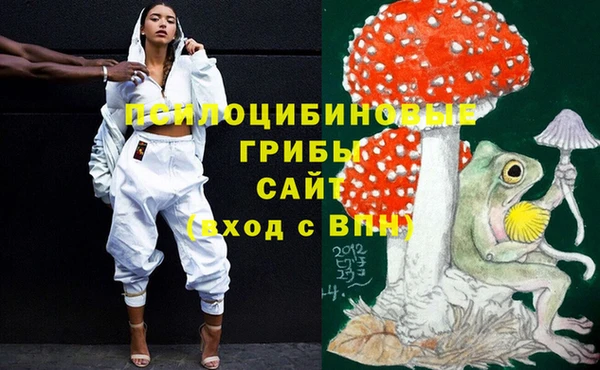 не бодяженный Алексин
