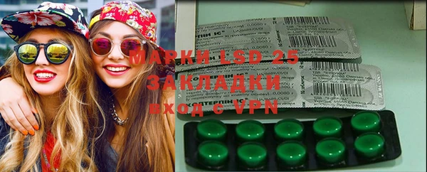 apvp Алзамай