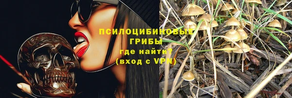 не бодяженный Алексин