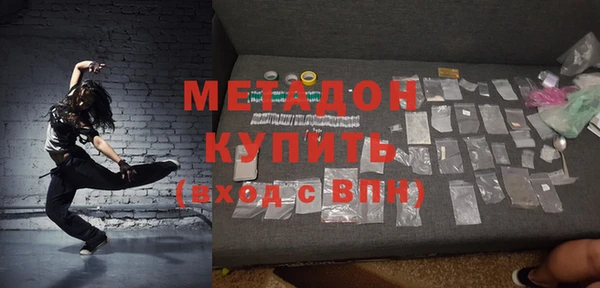 шишки Ельня