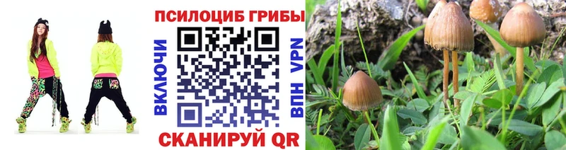 Галлюциногенные грибы прущие грибы  Набережные Челны 
